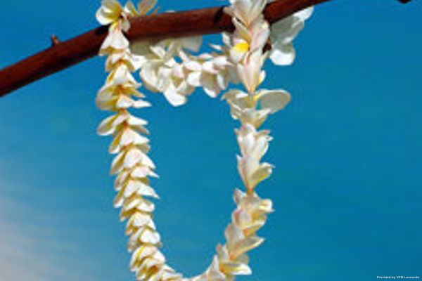 The Aitutaki Lagoon Resort (Avarua)